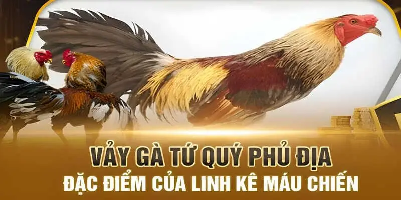 Những giống Phủ Địa đã xuất hiện trên thị trường